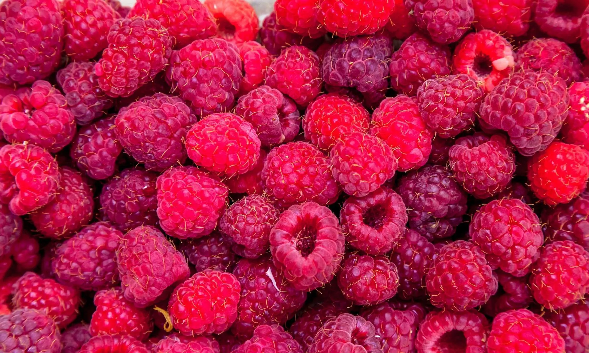 Raspberry Syrup for Cocktails; Delicious, Sweet and Tart!